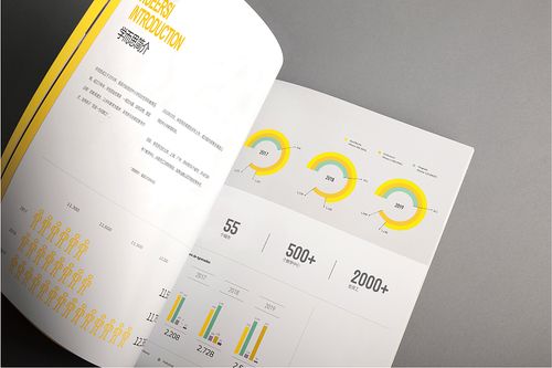 企业画册与品牌手册的视觉艺术 平面设计的策划与创新之路